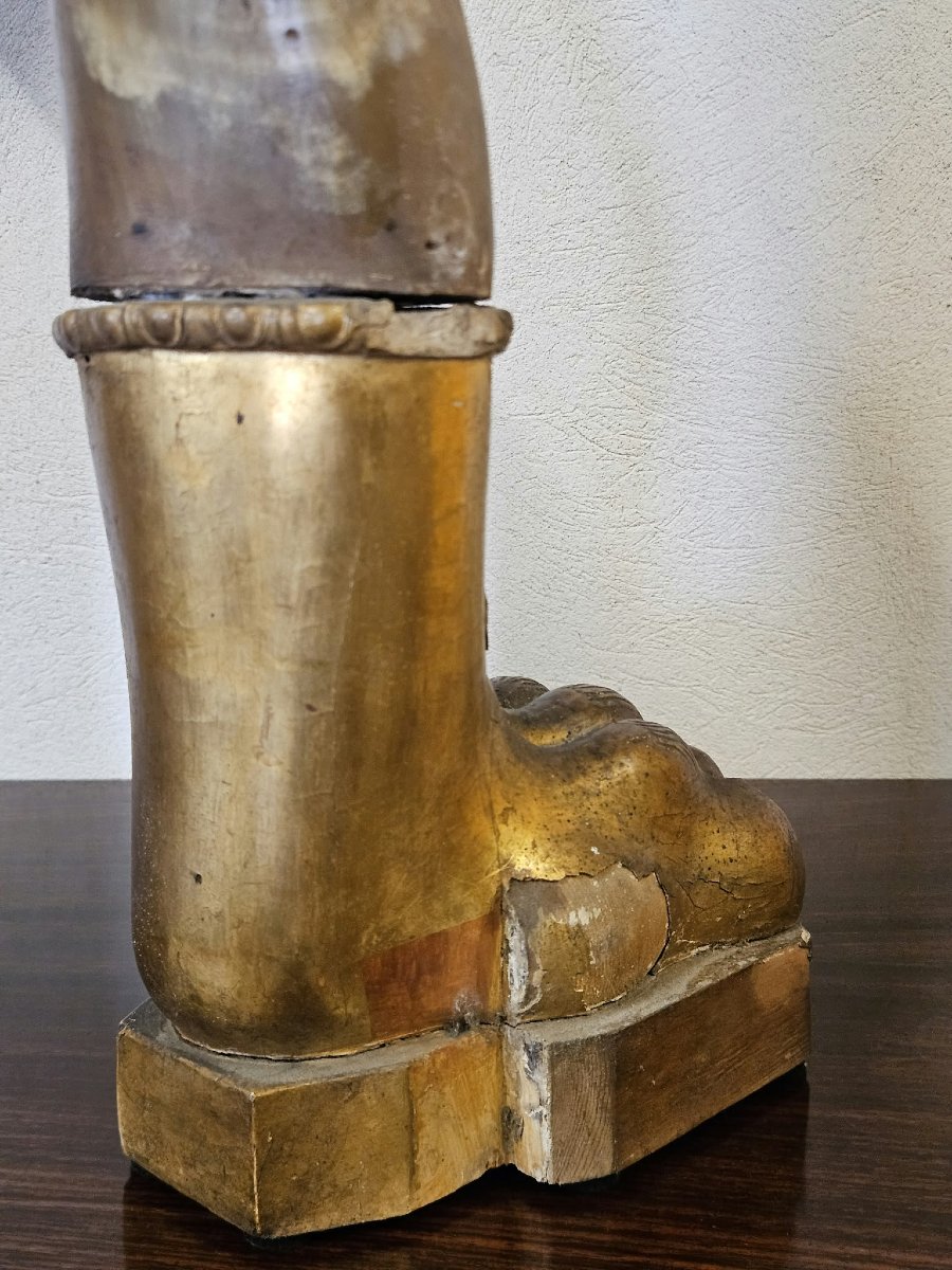 Coppia di corna di bue con basi in legno intagliato e dorato–Prima metà XIX Sec.-photo-1