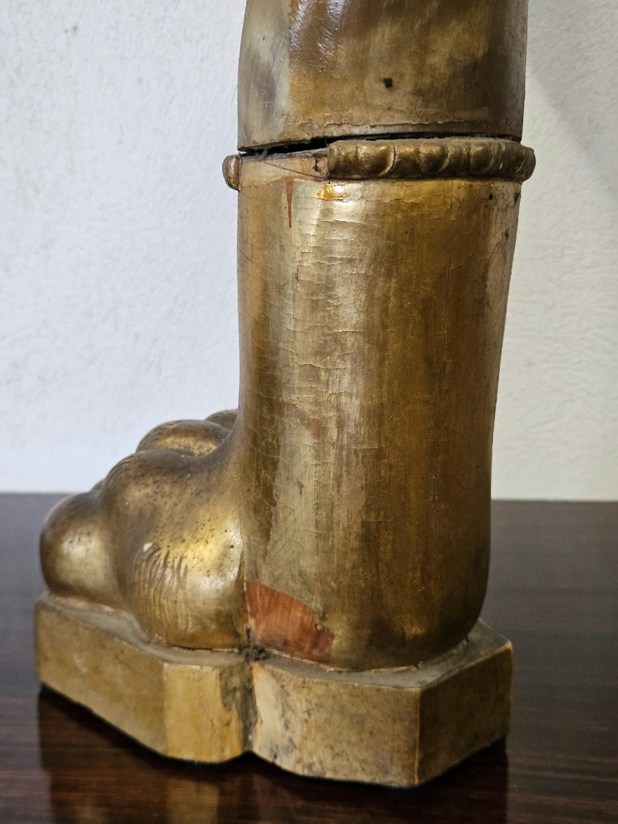 Coppia di corna di bue con basi in legno intagliato e dorato–Prima metà XIX Sec.-photo-5