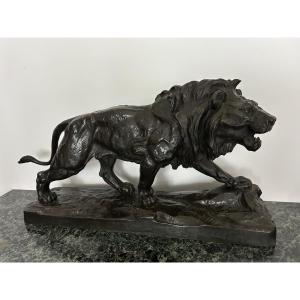 Bronze Lion Sculpture By Paul Thomas.