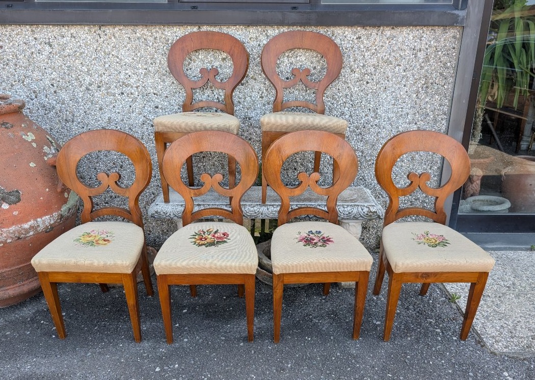 Suite di 6 Sedie Biedermeier in Noce Biondo – Austria, XIX Secolo