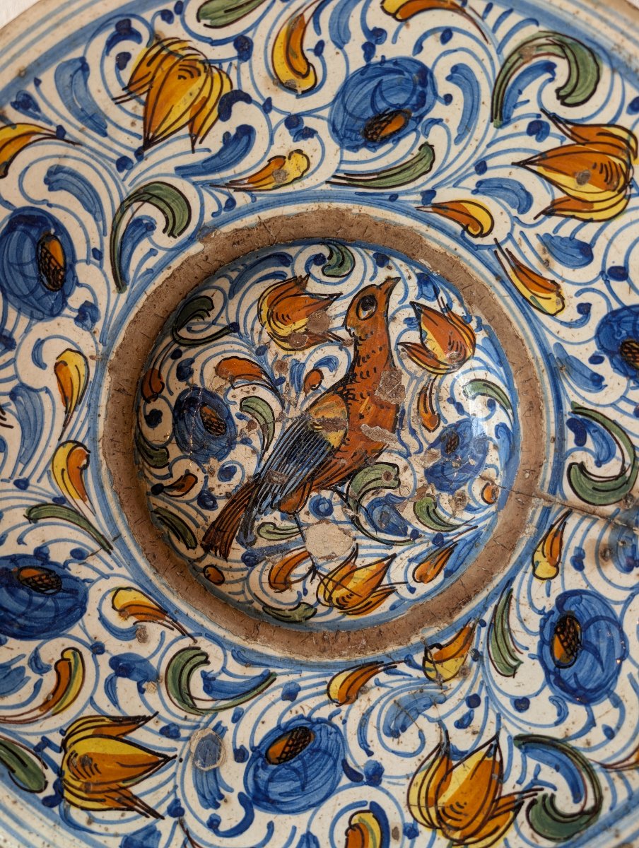 Grande piatto in maiolica policroma – Italia centrale, XVII secolo-photo-2