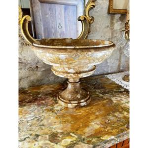 Siena Yellow Marble Cup