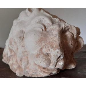 Lion Head