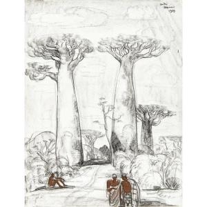 André Maire (1898 - 1984) — Madagascar, Baobabs, Morondava Forest, 1959
