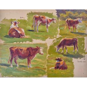 Charles Wislin 1852-1922 Carolles Studies Of Cows Oil On Paper
