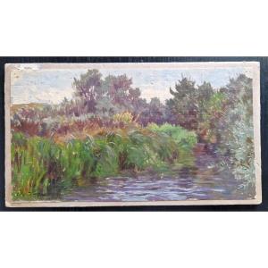 Arthur Calame 1843-1918 River In The Woods Oil On Paper