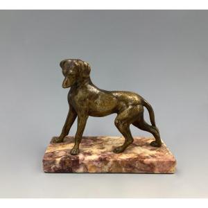 Bronze Representing A Hunting Dog, Late 19th - Early 20th Century