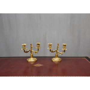 Pair Of Gilt Bronze French Candelabra, 19th Century