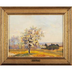 Georges Darnet (1859-1936) Flowering Tree Dordogne