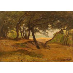 Louis Cabié (1853-1939) The Bois De La Chaise In Noirmoutier