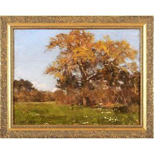 Louis Cabié (1853-1939) Oak Near Bordeaux Gironde Tree