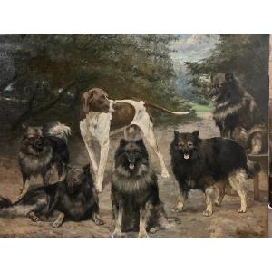 Painting Gathering Of Dogs In A Park, Signed, Jean Mayné, 1854-1924, Oil On Canvas Mounted 