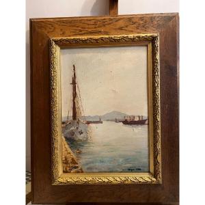 Painting Port Of Algiers Signed Illegible Oil On Cardboard. 