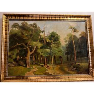 20th Century Forest Landscape Painting, Oil On Canvas. "small Restoration"