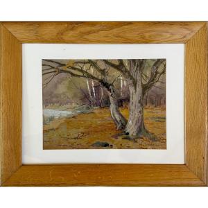 Drawing By Edouard Doigneau 