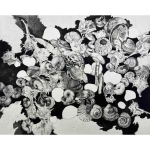 Engraving By Jean-louis Viard - Shellfish