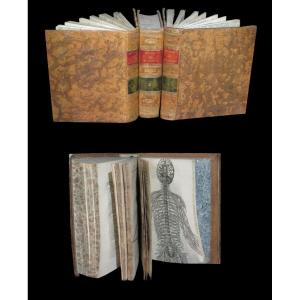 [philosophy Medicine Anatomy Meditations Passions Of The Soul Man] Descartes - Works 1650