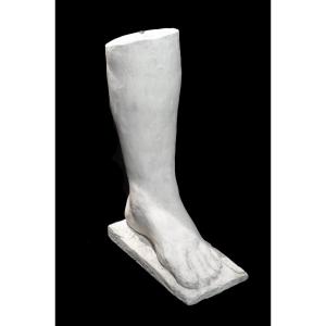 [anatomy Studio Plaster] Original Sculpture From The Late 19th Century: Human Left Foot. Signed