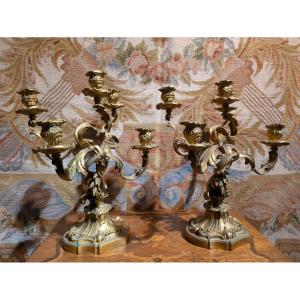 Pair Of Gilt Bronze Candelabras – Louis XV / Rocaille Style