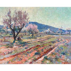 Provence, Almond Trees, By Louis Agricol Montagné, 1910
