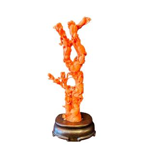 Red Coral, China, From The 20th Century.