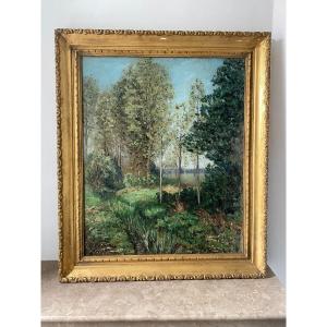 Forest Landscape Signed From 1929
