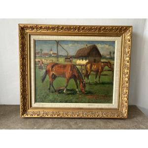Horses In A Paddock