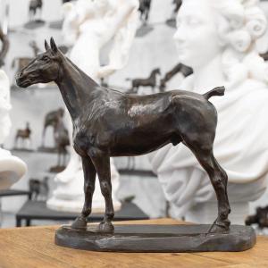 Sculpture - Horse At A Standstill , Edmond Drappier (19th-20th Century) - Bronze