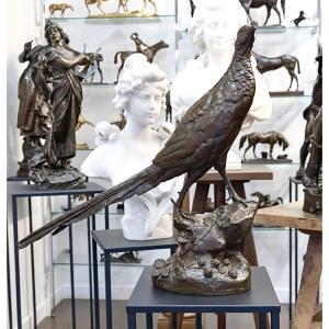 Sculpture - Pheasant On A Rock , Leon Bureau (1866-1906) - Bronze 