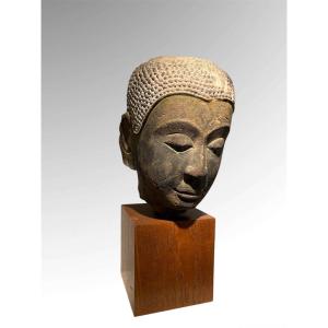 U Tong Buddha Head, Thailand