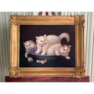 Miss Aïta, Portrait Of White Kittens In A Blue Bowl