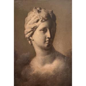 19th Century French School - Study Of A Head After The Antique