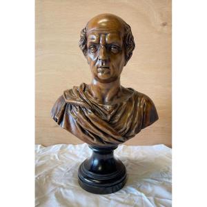 Walnut Bust