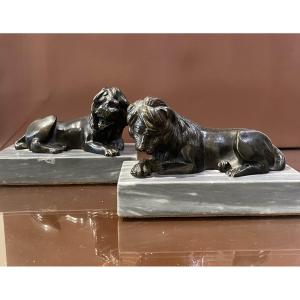 Pair Of Bronze Lions