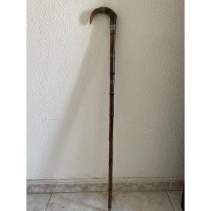 Bamboo Sword Cane - 20th