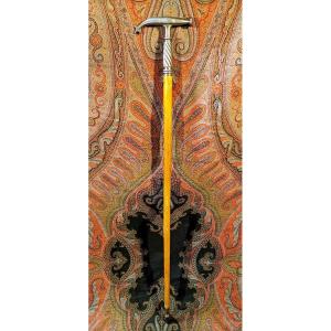 Collectible Cane - Defense Or Professional - Hammer By: Porion, Geologist, Mineralogist - 19th