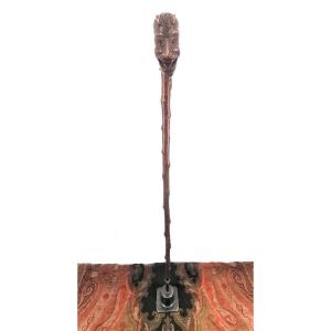 Collectible Cane - Popular In Monoxyl Boxwood - Carved Devil's Head - 19th