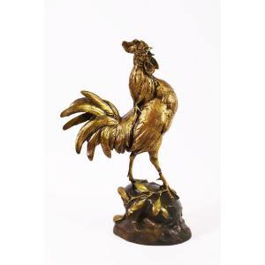 Bronze Comolera Shell