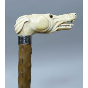 Collectible Cane With Ivory Handle Representing A Greyhound