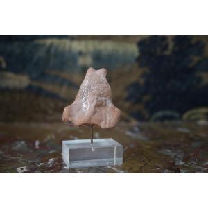 Terracotta Bust Of A Woman, Alexandria, Around The 4th Century .