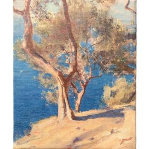 Capri Seaside Many Benner 