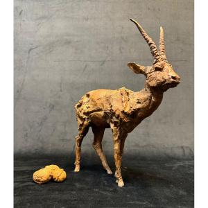 Terracotta Antelope By Sculptor Gambino