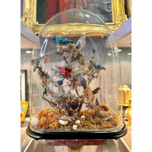 Composition Of Naturalized Birds Under Globe - 19th Century - Wood And Glass