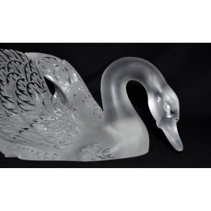 Crystal Swan Signed Lalique Circa 1980