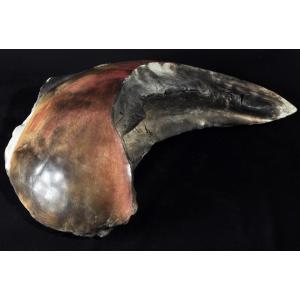 Anne Bulliot, 20th-century Sigillata Ceramic Sculpture