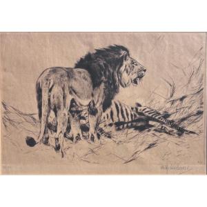 Wilhelm Friedrich Kuhnert Etching Lion And Zebra 1917
