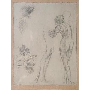 Drawing By Pierre Bonnard.