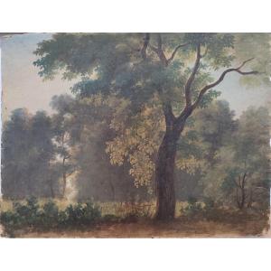 Landscape With A Fence. Oil On Paper, 18th Century. 