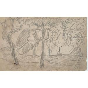The Small Clearing. Drawing. Pierre Bonnard.