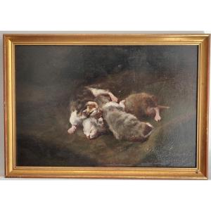 Kittens. Philippe Zacharie